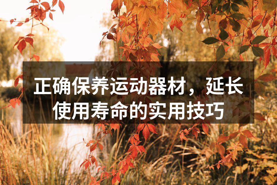 正确保养运动器材，延长使用寿命的实用技巧