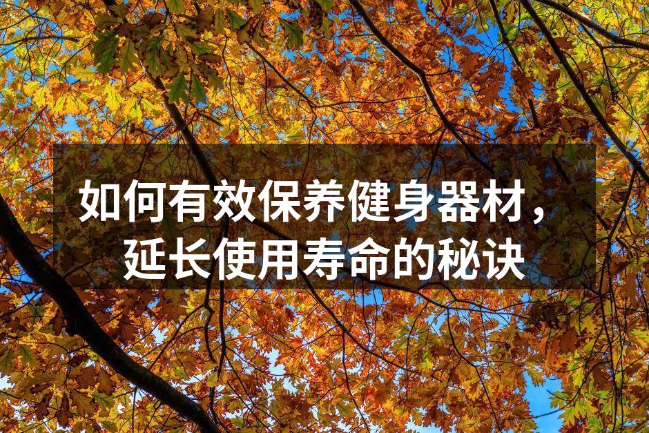 如何有效保养健身器材，延长使用寿命的秘诀