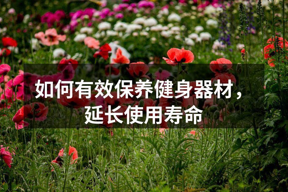 如何有效保养健身器材，延长使用寿命